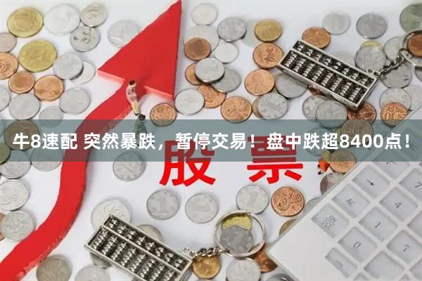 牛8速配 突然暴跌，暂停交易！盘中跌超8400点！