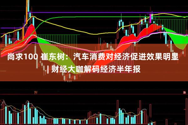 尚求100 崔东树：汽车消费对经济促进效果明显 | 财经大咖解码经济半年报