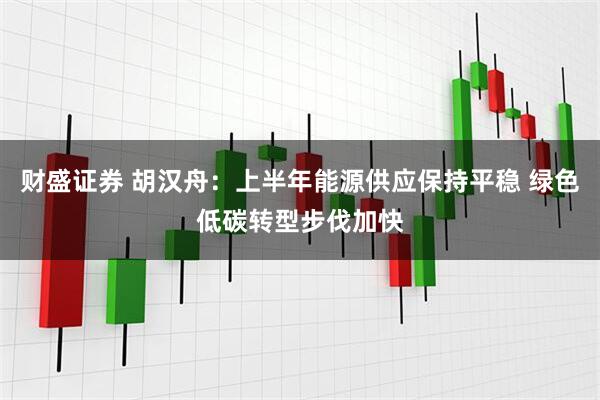 财盛证券 胡汉舟：上半年能源供应保持平稳 绿色低碳转型步伐加快